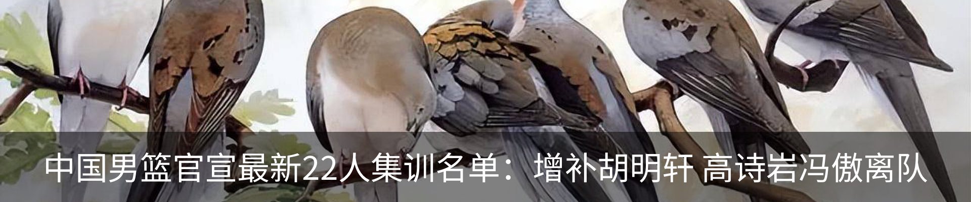 最新动态