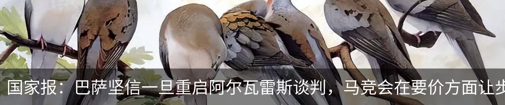 最新动态