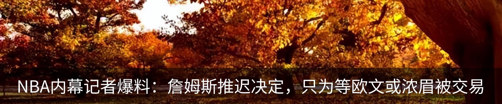 最新动态